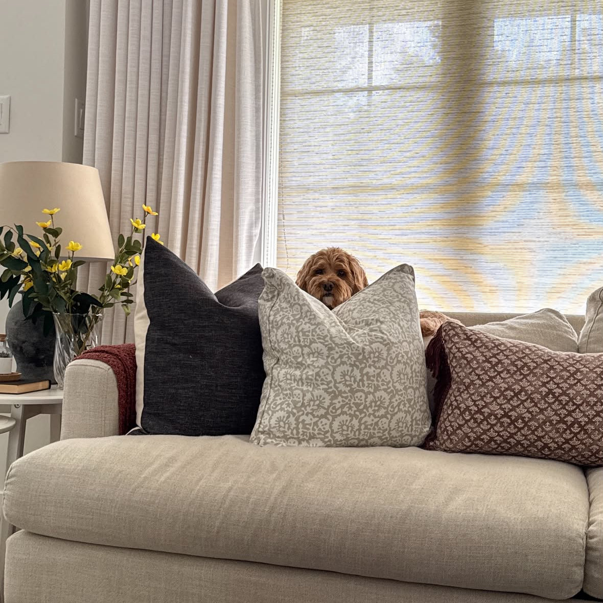 A cozy living room scene with a light beige sofa adorned with four decorative throw pillows in dark gray, white patterned, and dusty rose. A brown dog is peeking out from behind the center pillows, looking directly at the camera.