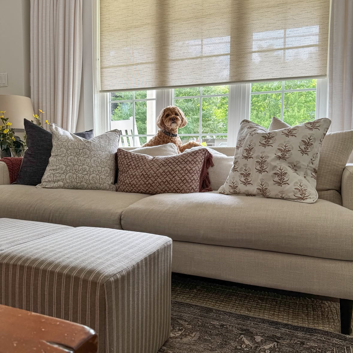 A beige fabric sectional sofa in a bright living room, styled with multiple patterned and solid throw pillows. A small brown dog is sitting on the window sill behind a beige roller blind.