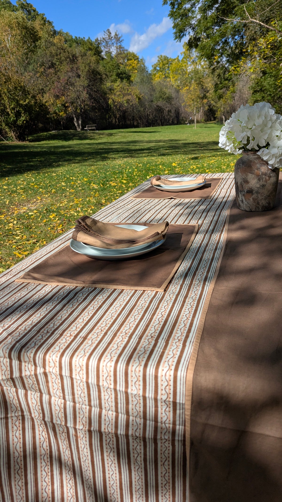 Outdoor dining table setup with a brown and cream striped table runner, matching placemats, plates, folded napkins, and a vase of white flowers in a grassy park setting.